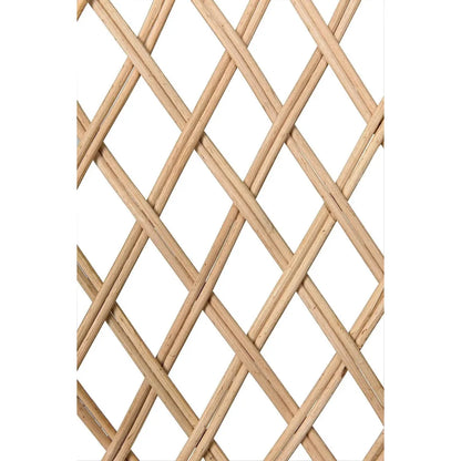 Noir Gigi Birch and Rattan Arm Chair