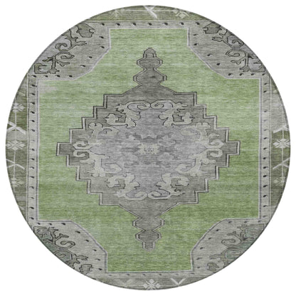 Addison Rugs Haelion Aloe Washable Indoor-Outdoor Rug