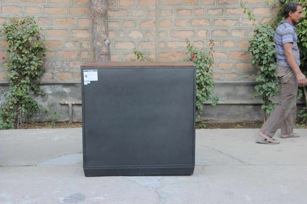 Medrano Wood Brown 2 Door Cabinet