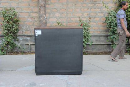 Medrano Wood Brown 2 Door Cabinet