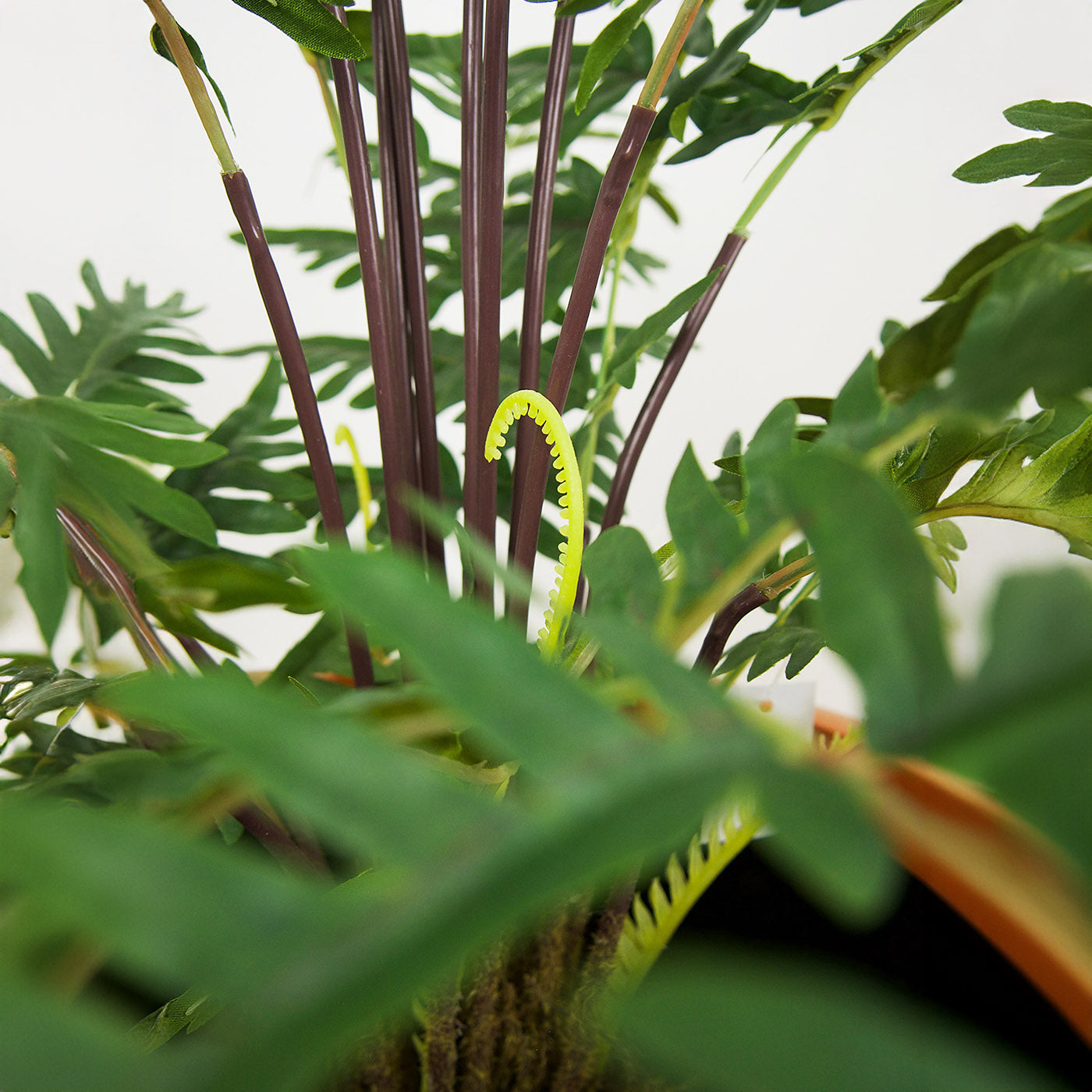 Faux Botanical Indoor Green Fern