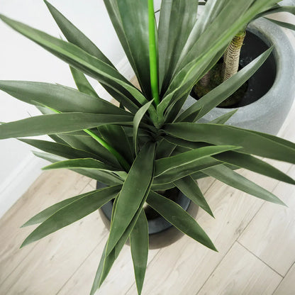 Faux Botanical Indoor Green Yucca