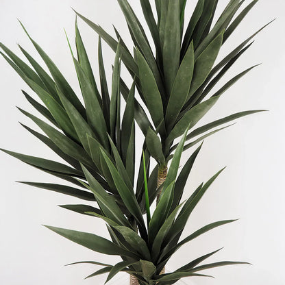 Faux Botanical Indoor Green Yucca