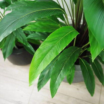 Faux Botanical Outdoor Green Calathea