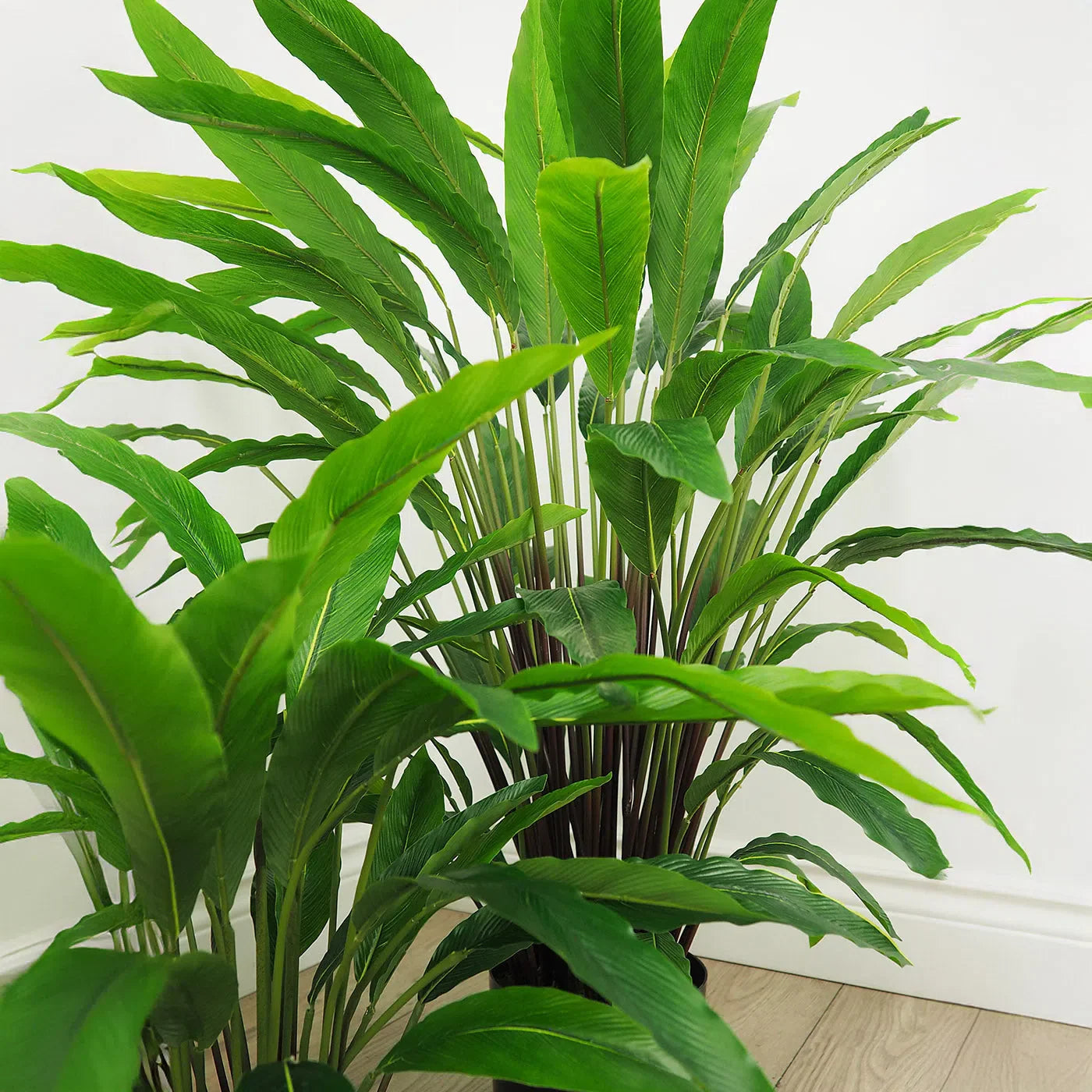 Faux Botanical Outdoor Green Calathea