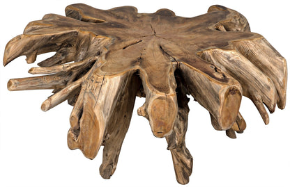 Teak Root Geometric Coffee Table-Coffee Tables-Noir-Sideboards and Things