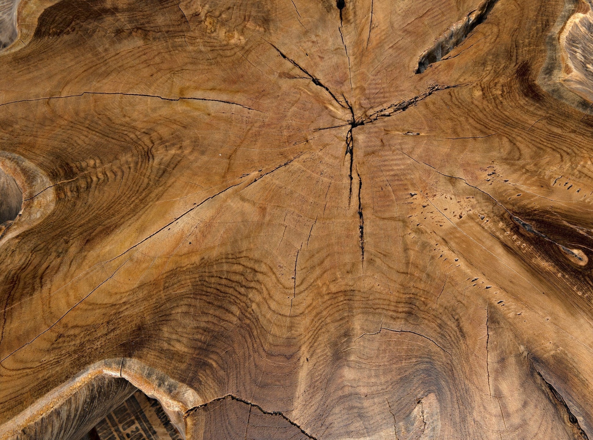 Teak Root Geometric Coffee Table-Coffee Tables-Noir-Sideboards and Things