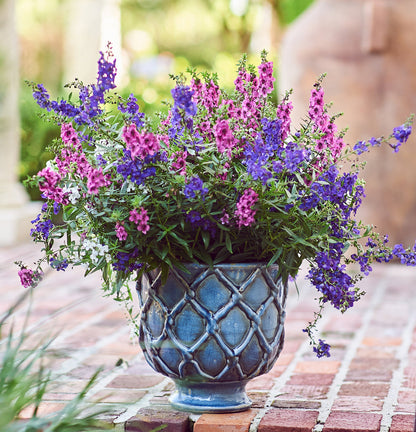 Vinci Criss Cross Ceramic Planter