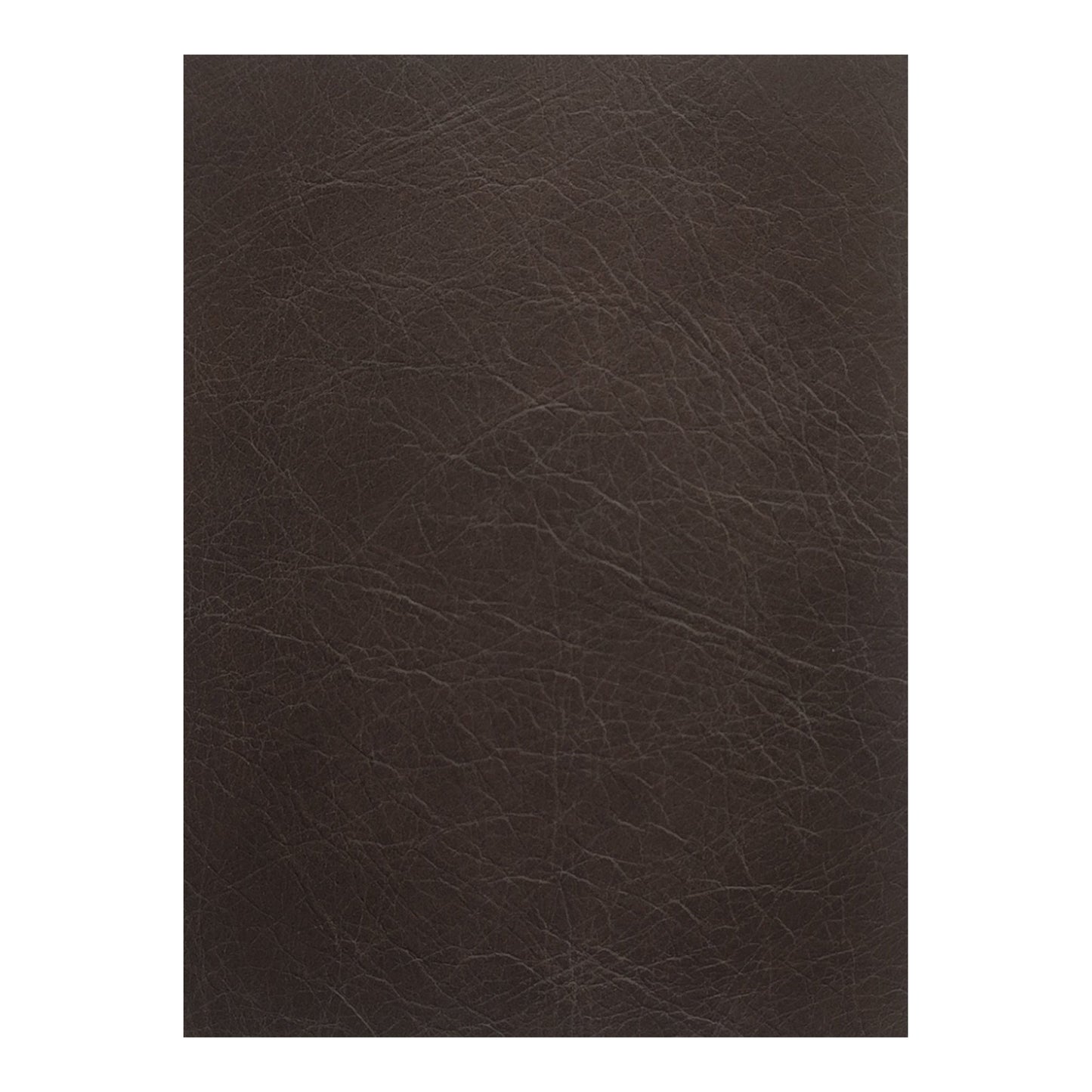 Form Espresso Leather Lounge Modular Sectional