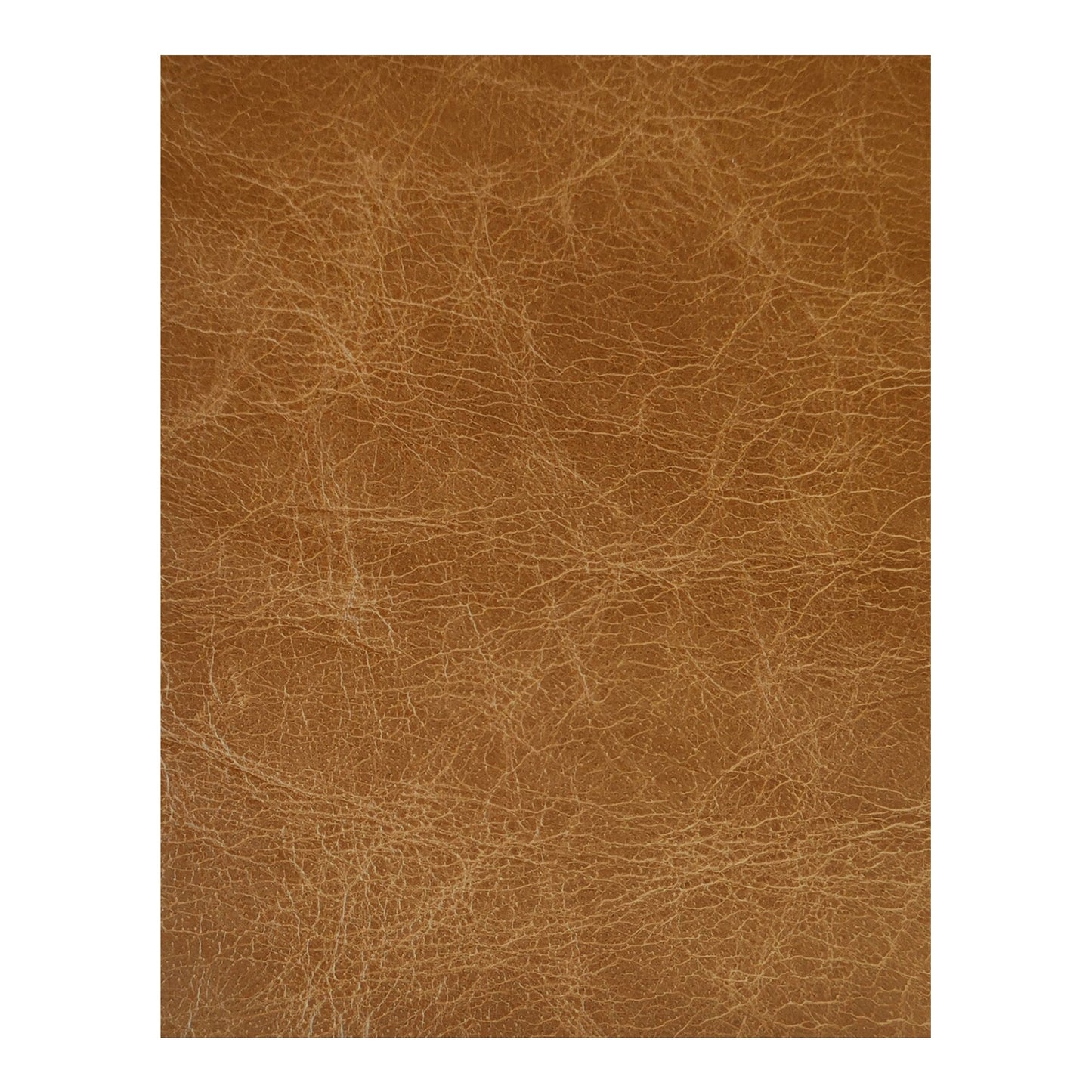 Bridgers Dual Controls Power Recliner Sofa