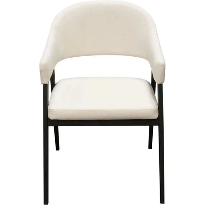 Adele Leather Modern Dining Chair 2PC - LOOMLAN - Diamond Sofa - Dining Chairs