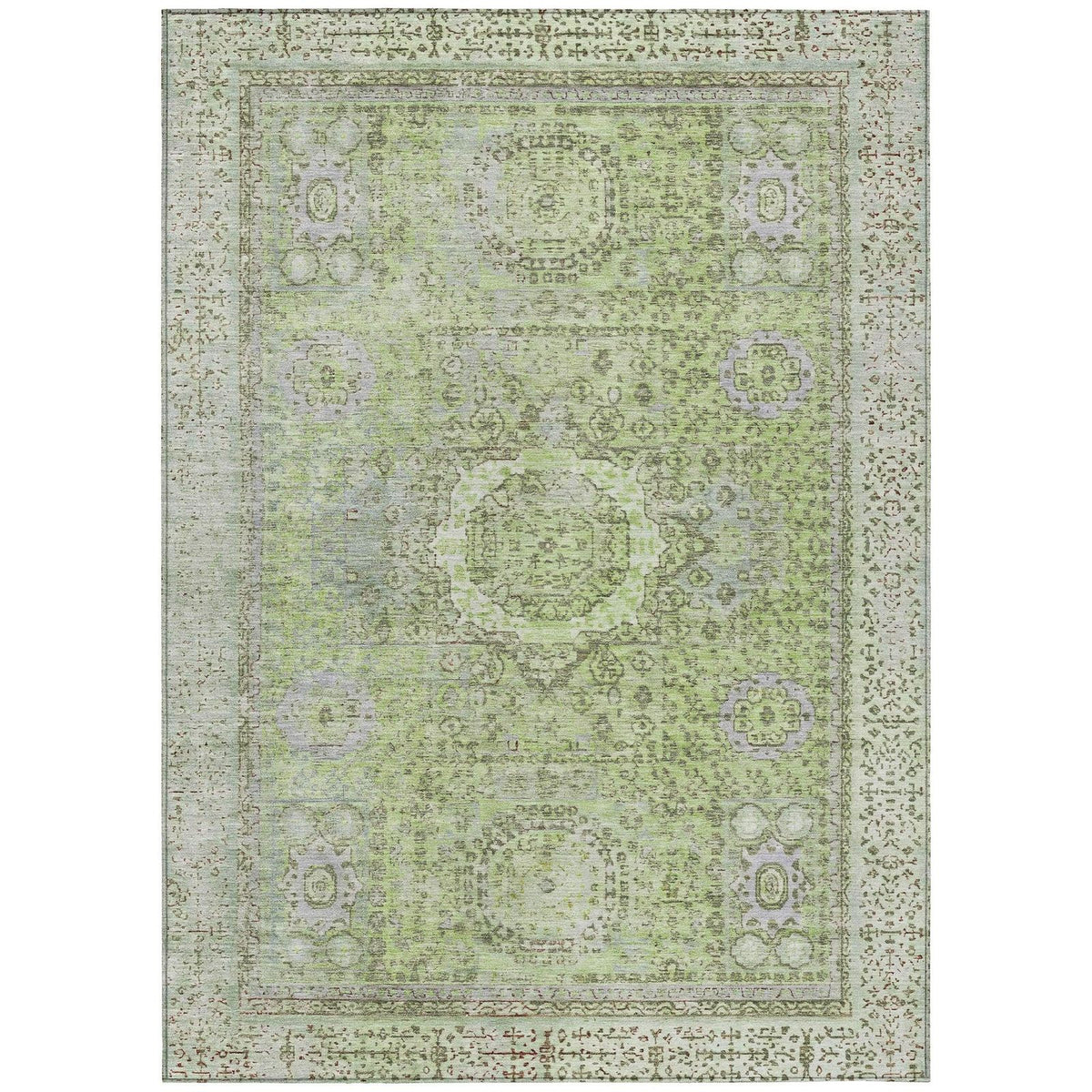 Irias Aloe Washable Indoor-Outdoor Rug
