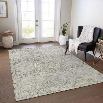 Iriius Gray Washable Indoor-Outdoor Rug -- gray