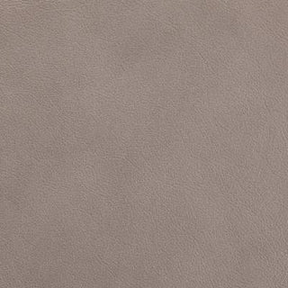 Regent Grey