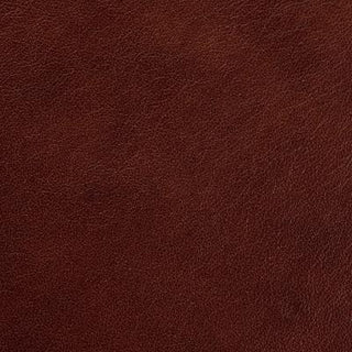 Regent Maple