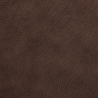 Regent Mink