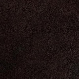 Regent Mocha