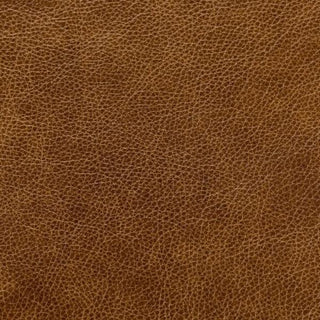 Bronx Molasses