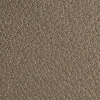 Dreamer Grey Taupe