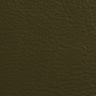Dreamer Olive
