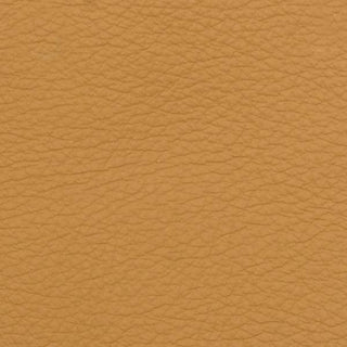 Dreamer Sand