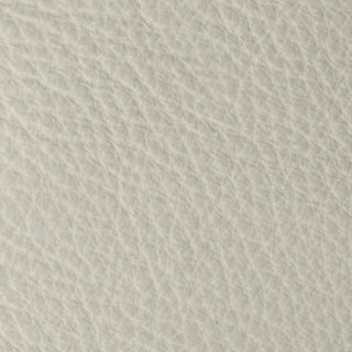 Dreamer White