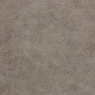 Saloon Dove Grey