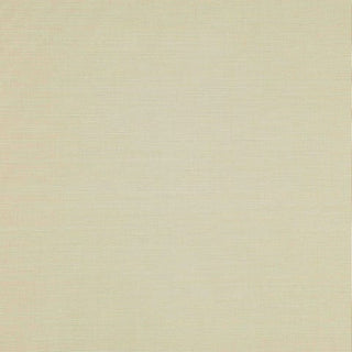 Eden Porcelain