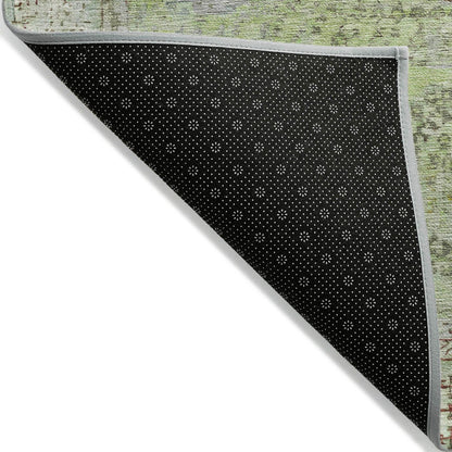 Irias Aloe Washable Indoor-Outdoor Rug