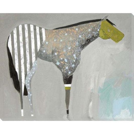 Abstract Zebra Horse Canvas Art Indoor Outdoor Decor