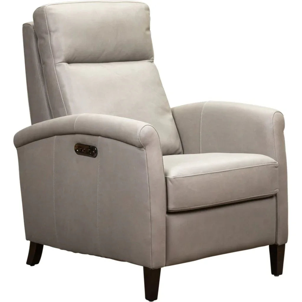 Haskell Leather Made Usb Power Recliner