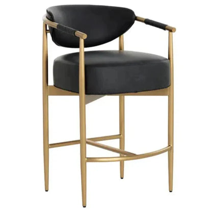 Heloise Leather Handsome Counter Stool