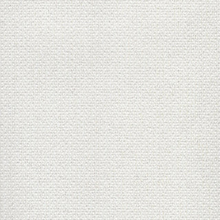 Falcon White