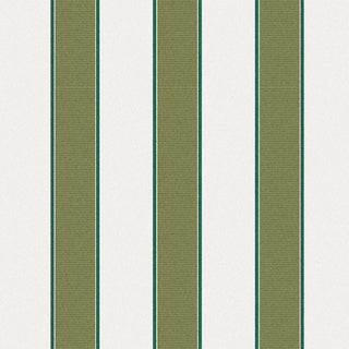 Painter Grass