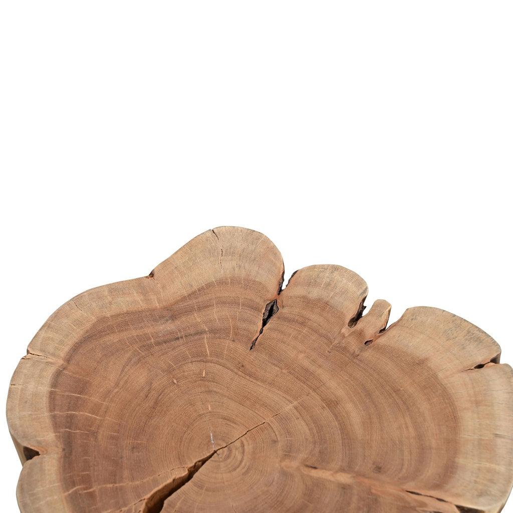 Brooks Solid Acacia Wood Stump