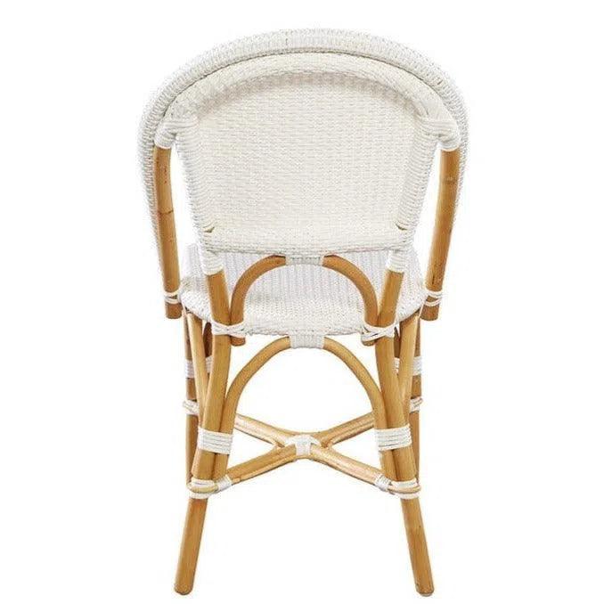 Leroy Rattan Framed Armless Side Chair (Set Of 2)