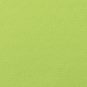 Canvas-Macaw