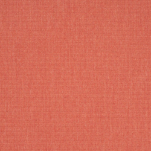 Canvas Persimmon