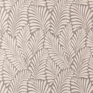Frond Classic